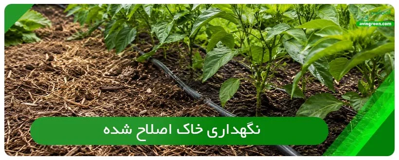 برای نگهداری خاک اصلاح شده به این نکات توجه کنید!