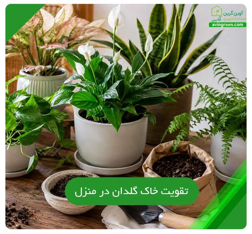 تقویت خاک گلدان در منزل