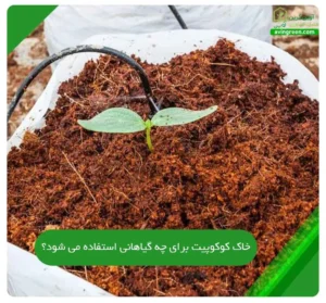 خاک کوکوپیت برای چه گیاهانی استفاده می شود