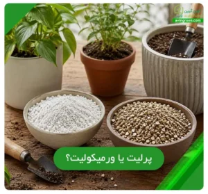 پرلیت یا ورمیکولیت