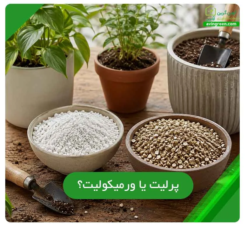 پرلیت یا ورمیکولیت