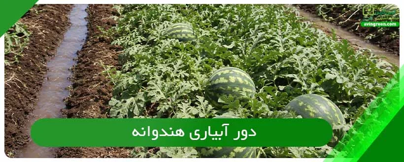 دور آبیاری هندوانه