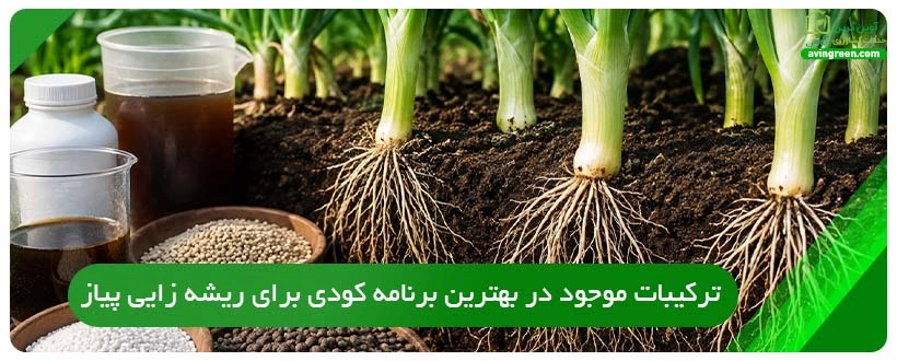 ترکیبات موجود در بهترین برنامه کودی برای ریشه زایی پیاز