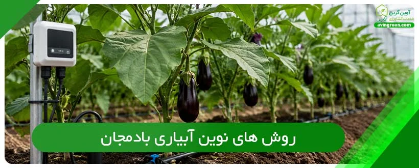 روش های نوین آبیاری بادمجان