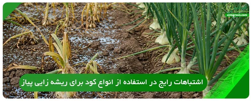 اشتباهات رایج در استفاده از انواع کود برای ریشه زایی پیاز