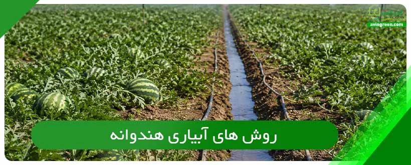 روش های آبیاری هندوانه