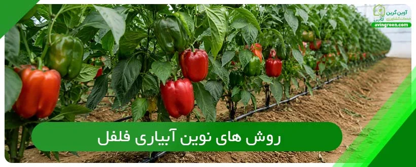 روش های نوین آبیاری فلفل