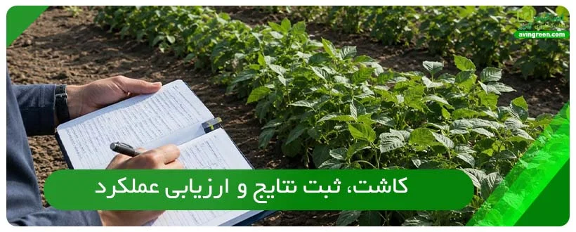 مراحل عملی اصلاح بذر