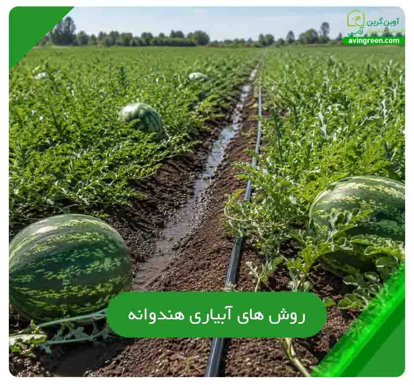 آبیاری هندوانه