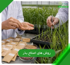روش های اصلاح بذر