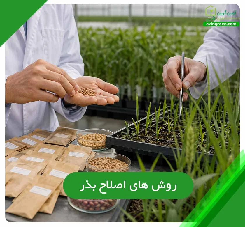 روش های اصلاح بذر