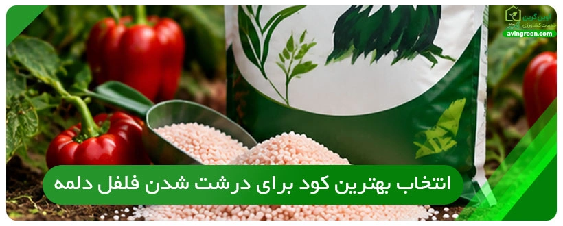انتخاب بهترین کود برای درشت شدن فلفل دلمه