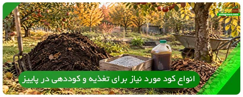 انواع کود مورد نیاز برای تغذیه و کوددهی در پاییز