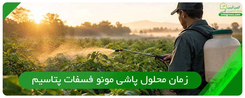 زمان محلول پاشی مونو فسفات پتاسیم