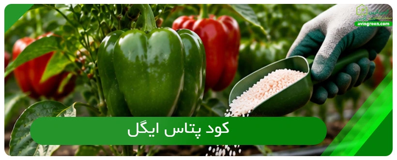 کود پتاس ایگل