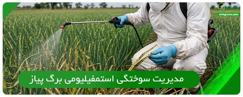 مدیریت سوختگی استمفیلیومی برگ پیاز