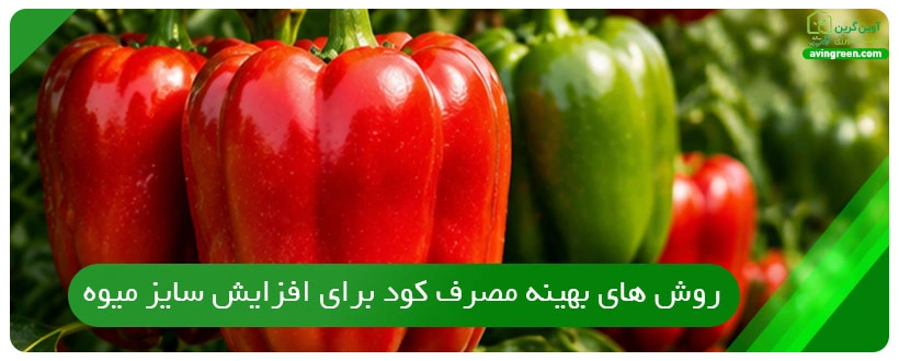روش های بهینه مصرف کود برای افزایش سایز میوه