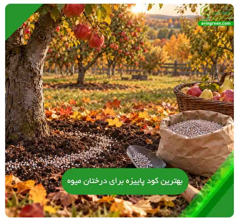 بهترین کود پاییزه برای درختان میوه