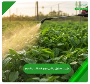 محلول پاشی مونو فسفات پتاسیم