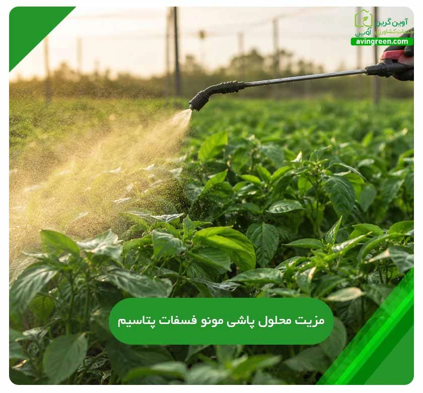 محلول پاشی مونو فسفات پتاسیم