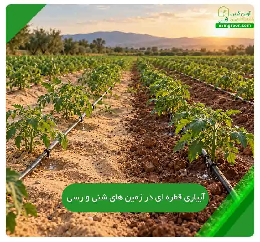 آبیاری قطره ای در زمین های شنی و رسی؛ تفاوت ها و نکات اجرایی
