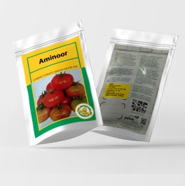 بذر-گوجه-فرنگی-آمینور