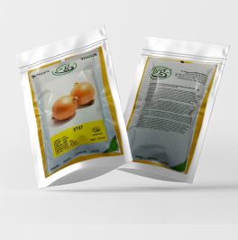 بذر پیاز ساهی